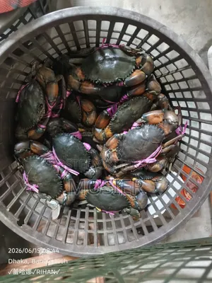 কাঁকড়া কুঁচিয়া