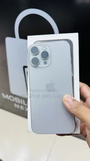 Apple iPhone 15 Pro Max 256 GB Gray