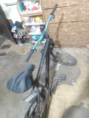 Cycle 2026