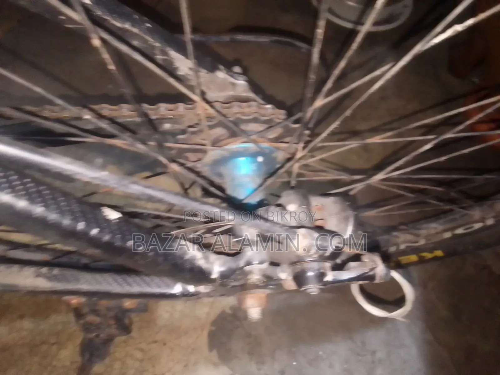 Cycle 2026