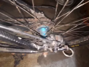 Cycle 2026
