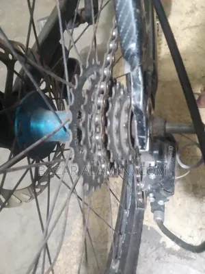 Cycle 2026