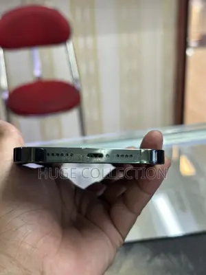 Apple iPhone 13 Pro Max 256 GB Green