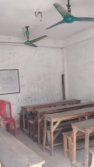 কাঠের বেঞ্চ এবং ফ্যান