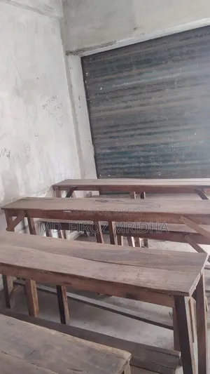 Wooden Benches Fans