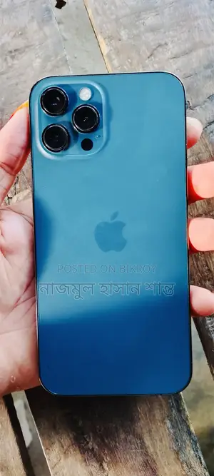 Apple iPhone 12 Pro Max 256 GB Blue