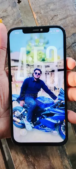 Apple iPhone 12 Pro Max 256 GB Blue