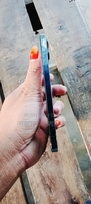 Apple iPhone 12 Pro Max 256 GB Blue