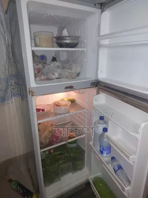Singer Freezer