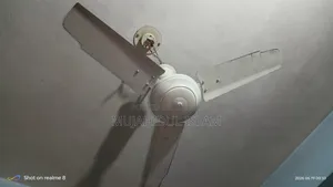 Ceiling Fan