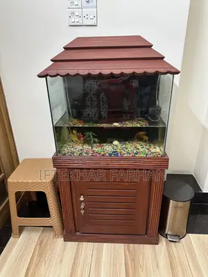 Fish Aquarium