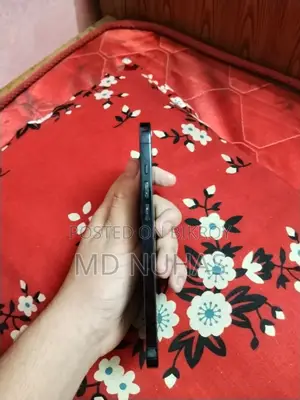 অ্যাপল আইফোন ১২ প্রো ম্যাক্স ২৫৬ জিবি ব্লু