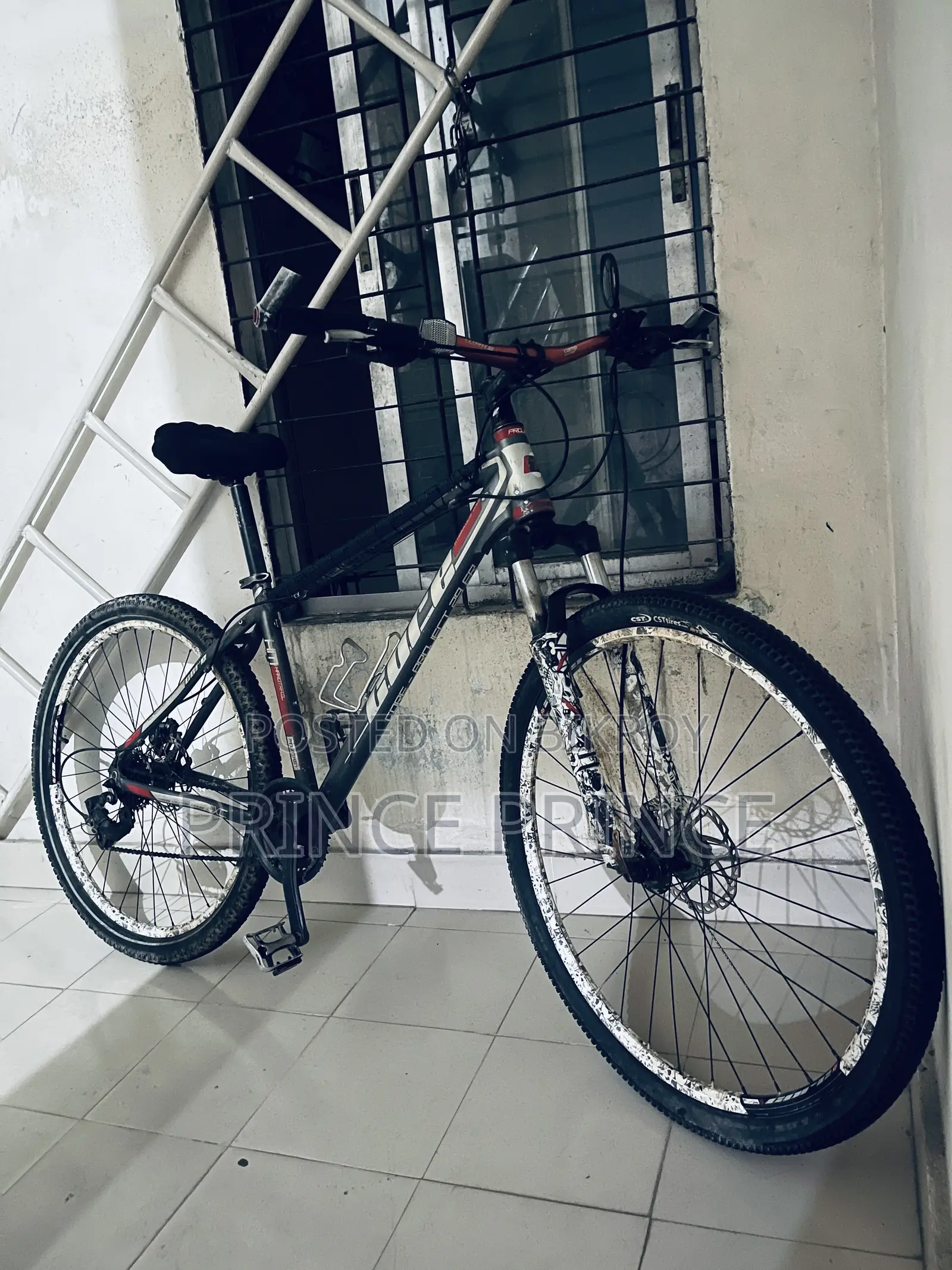 29 Big Size Core Project 29 Size Cycle