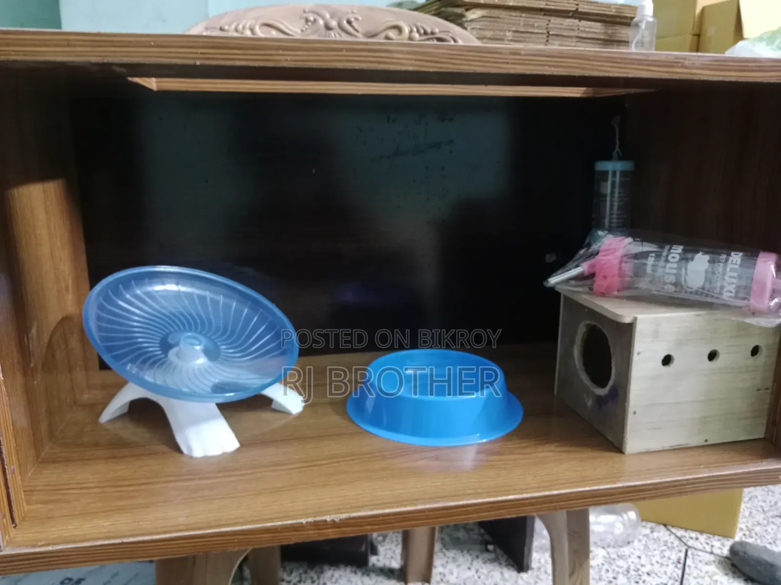 Winter White Hamster With Full Setup.