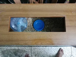 Winter White Hamster With Full Setup.