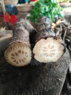 Khulna's Native Chui Jhal