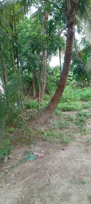 5bdrm Duplex in Abhaynagar for sale