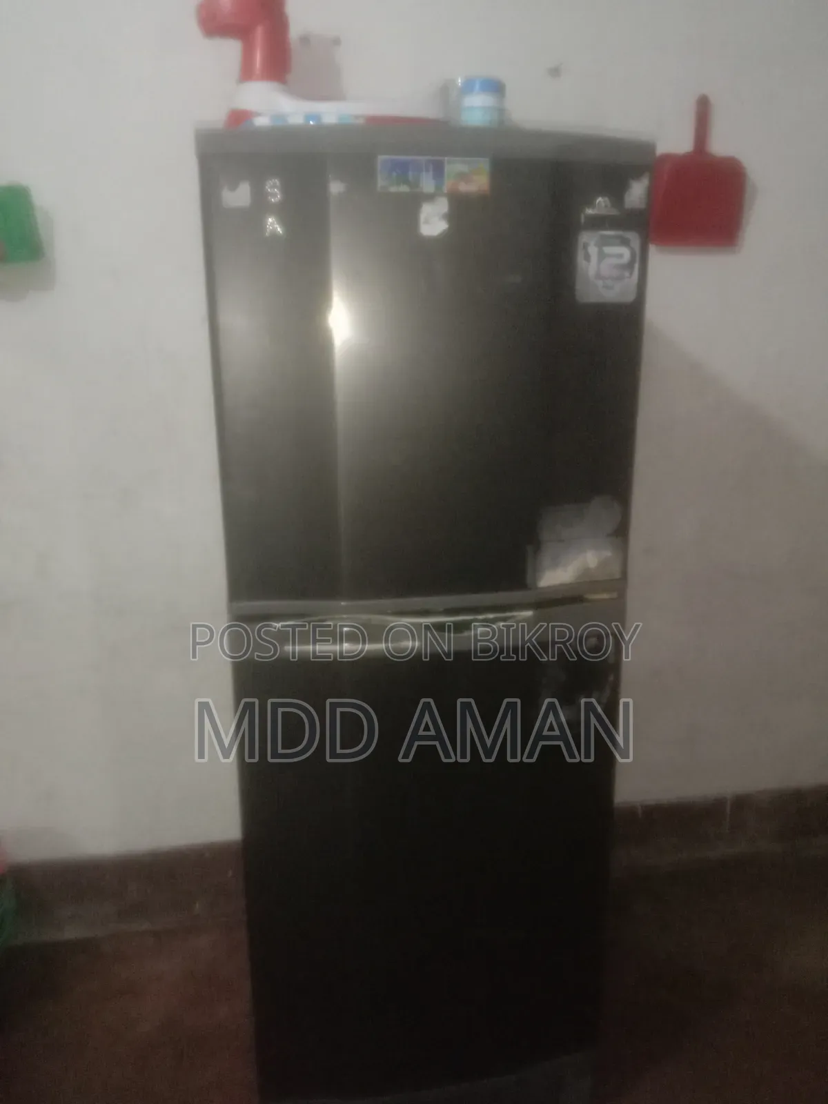 Marsel Friz