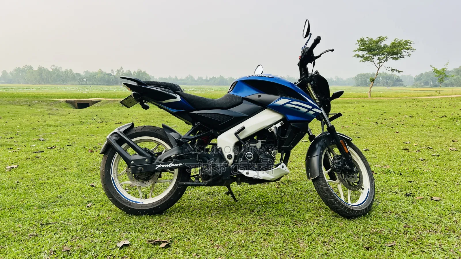Bajaj Pulsar NS 160 2021 Blue