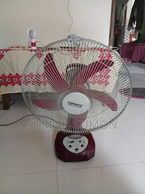 Charger Fan for Sale