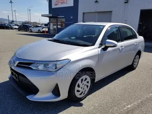 Toyota Axio 2021 Silver