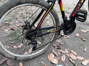 Old Bicycle for Sale