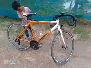 Coyote Ronin Road Bike