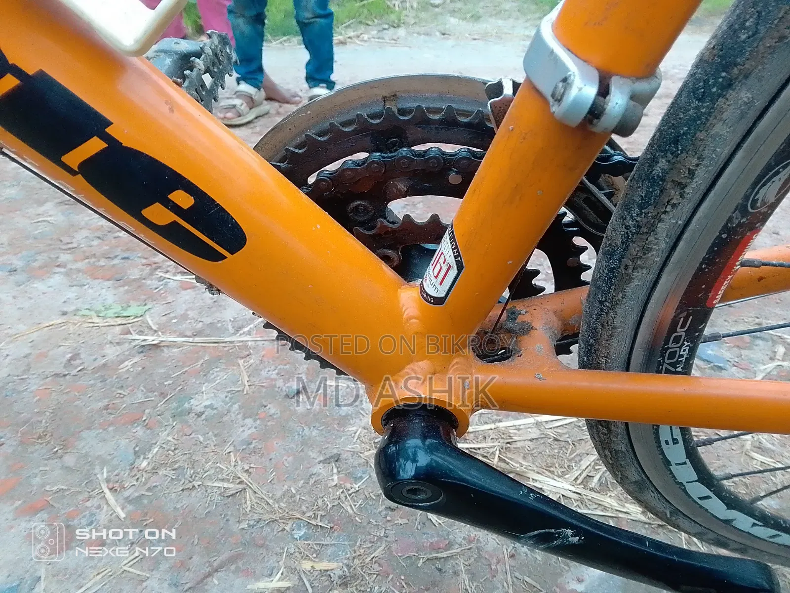 Coyote Ronin Road Bike