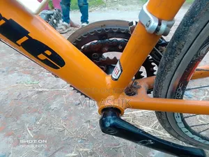Coyote Ronin Road Bike