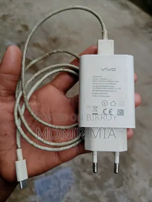 Vivo Original Charger