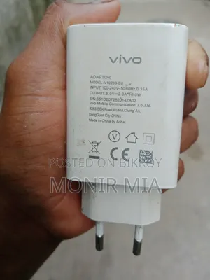 Vivo Original Charger