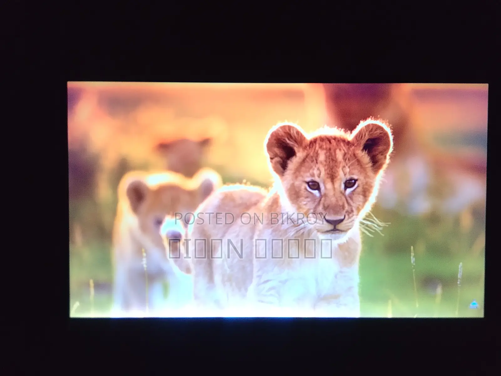 Laptop HP ProBook 640 G1 4GB Intel Core i5 500GB HDD