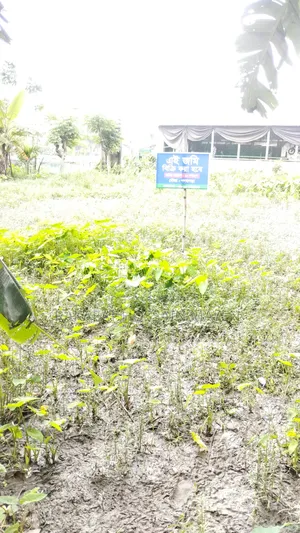 ১ শতাংশ ২লাখ ৫০ হাজার টাকা