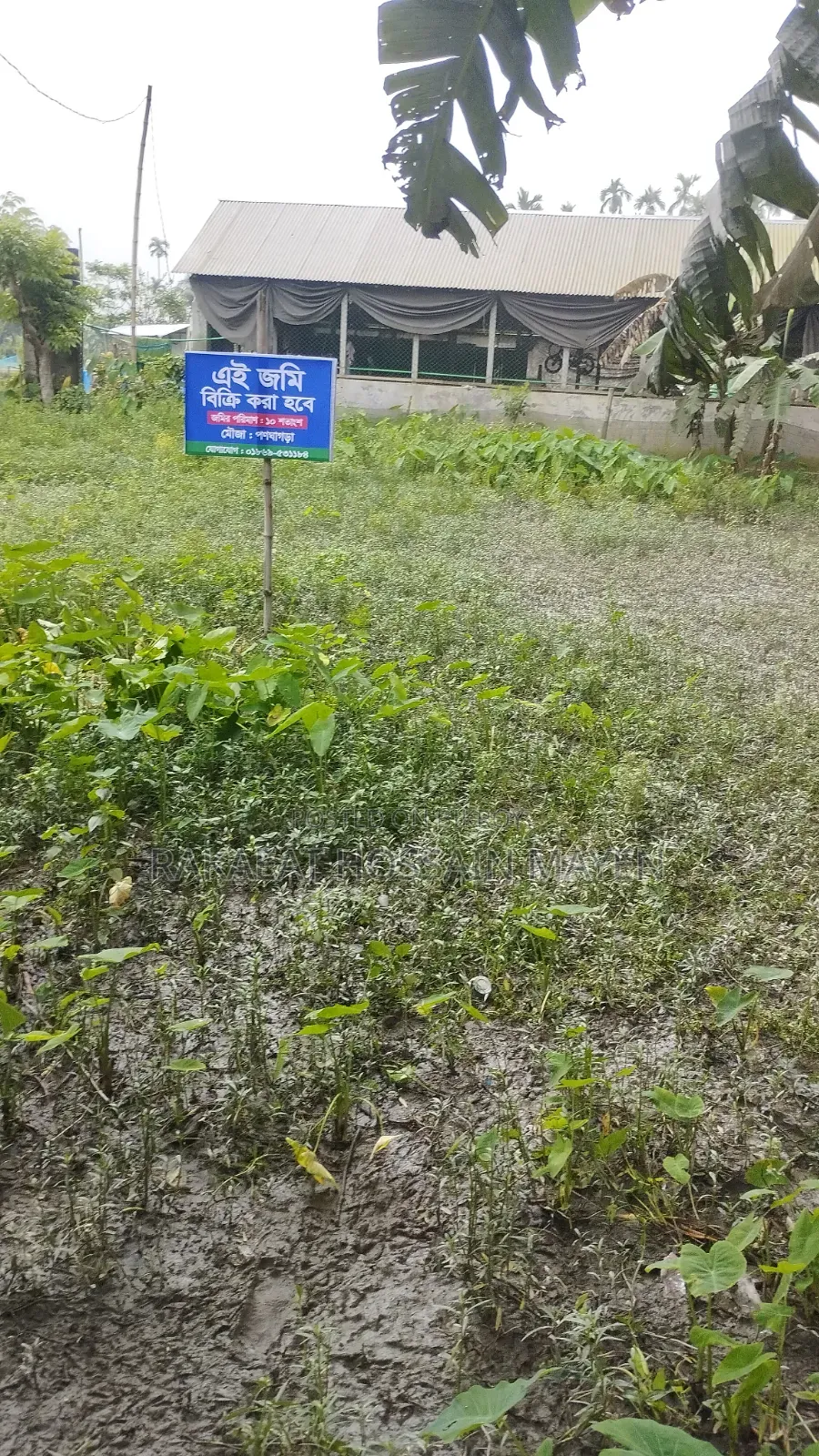 1 Shotok 2 Lakh 50 Thousand Taka