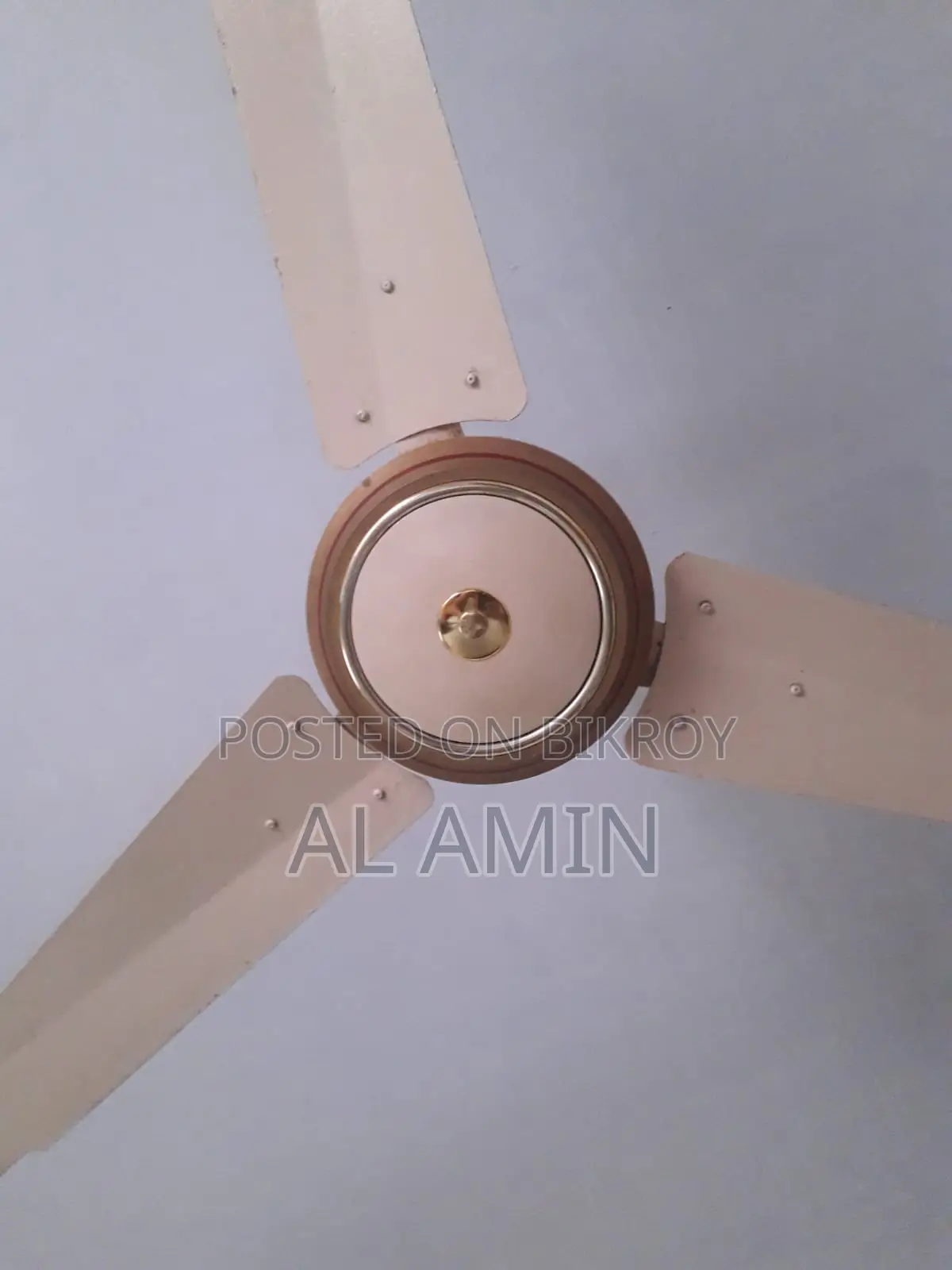 City Selling Fan