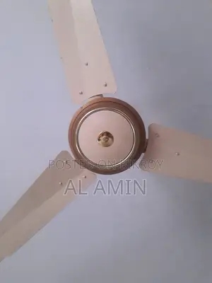 City Selling Fan