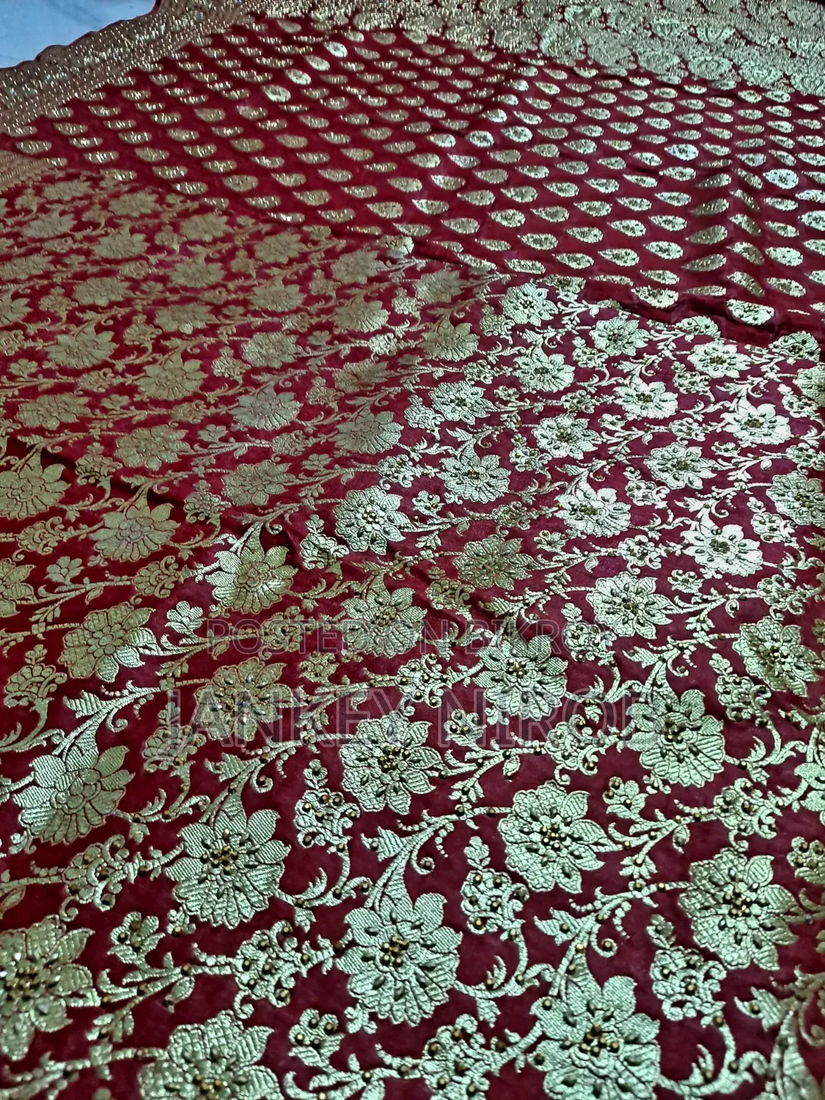 Woman's Collection