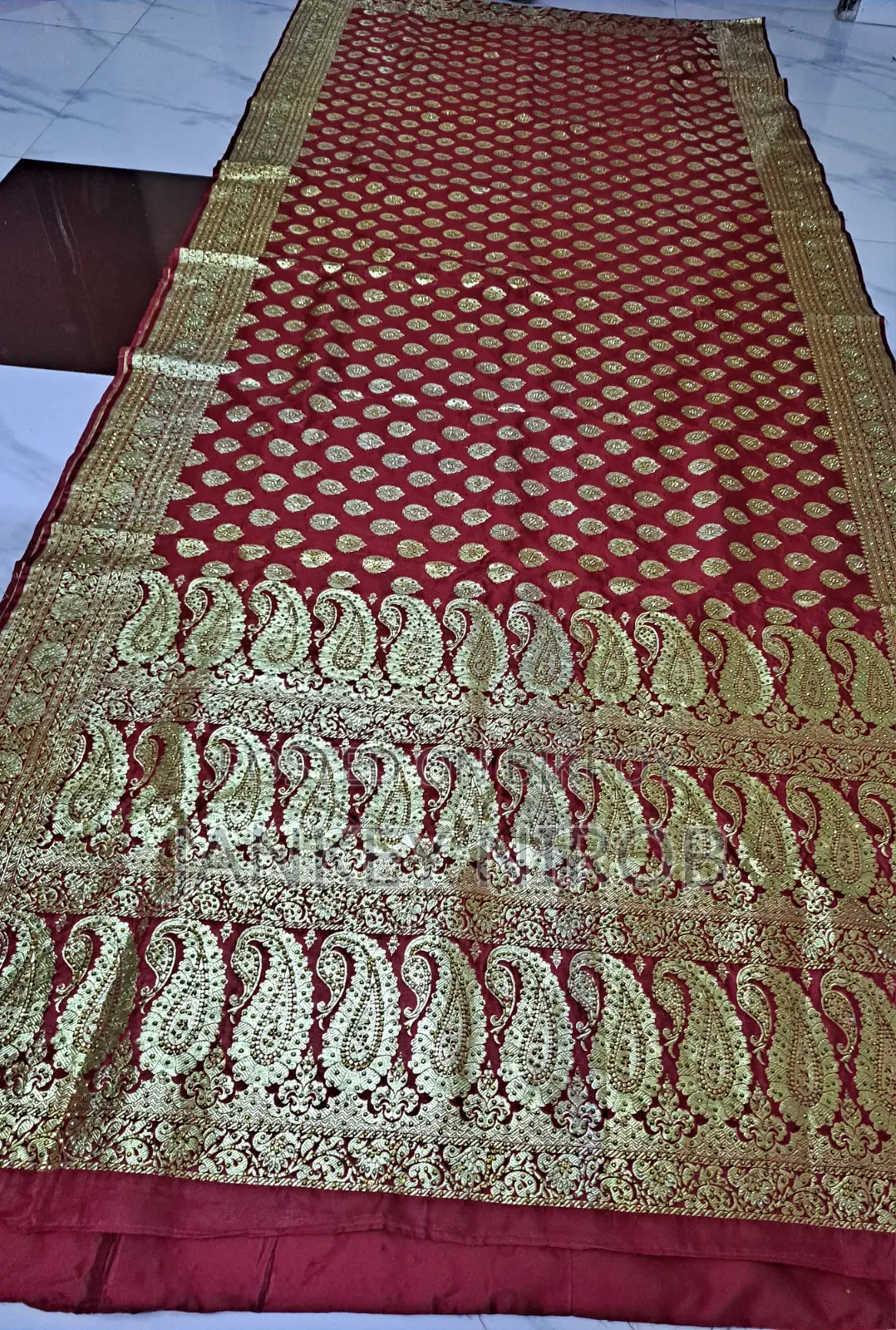 Woman's Collection