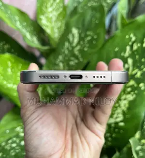 Apple iPhone 16 Pro Max 256 GB
