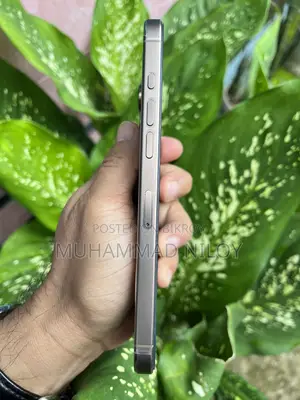 Apple iPhone 16 Pro Max 256 GB