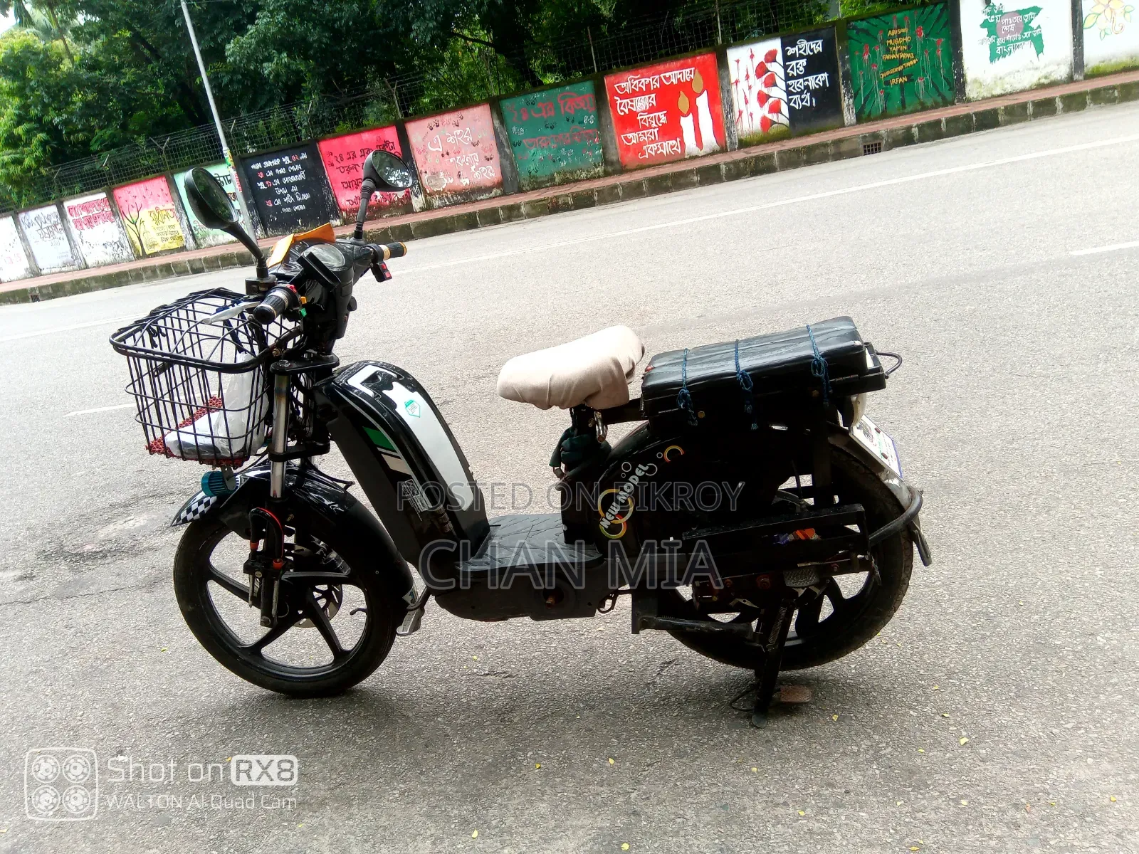 Electric Bike