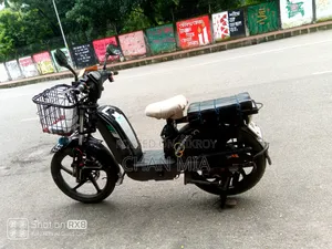 Electric Bike