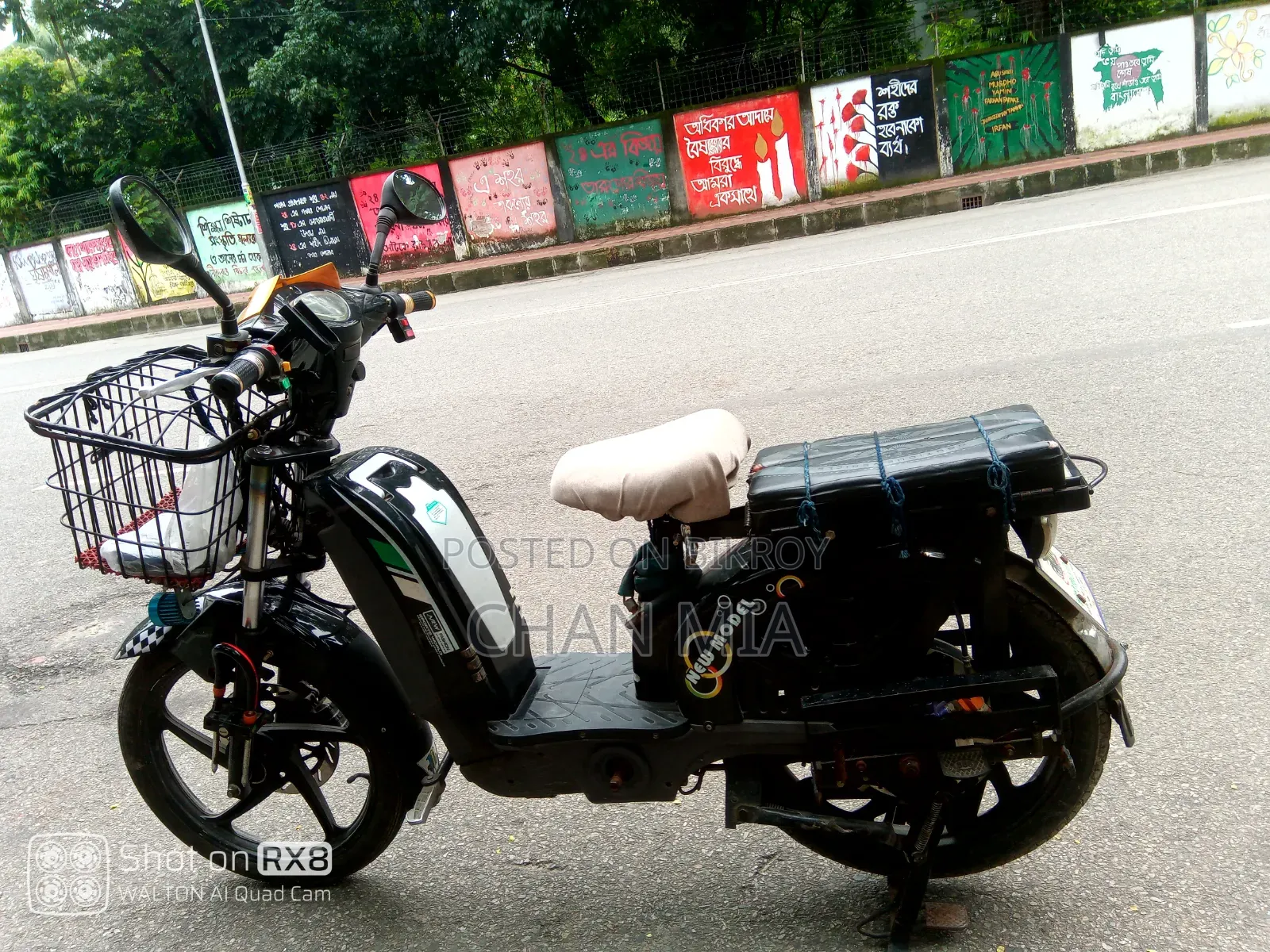 Electric Bike