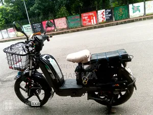 Electric Bike