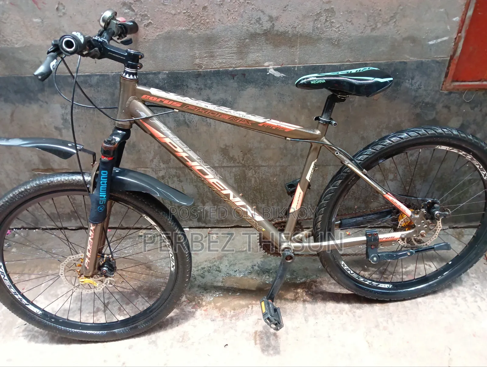 Phoenix Bicycle