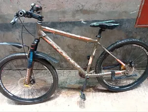 Phoenix Bicycle