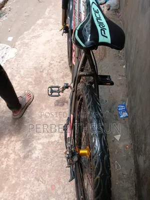 Phoenix Bicycle