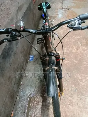 Phoenix Bicycle