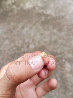 Gold Nose Pin