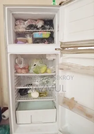 ফ্রিজ বিক্রি করা হবে সিঙ্গার কোম্পানি।